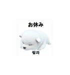 韓国語会話 サモエド犬KRJP aWg（個別スタンプ：39）