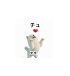 韓国語会話 サモエド犬KRJP nLz（個別スタンプ：1）