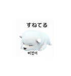 韓国語会話 サモエド犬KRJP nLz（個別スタンプ：4）