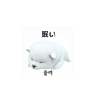 韓国語会話 サモエド犬KRJP nLz（個別スタンプ：5）