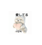 韓国語会話 サモエド犬KRJP nLz（個別スタンプ：6）