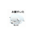 韓国語会話 サモエド犬KRJP nLz（個別スタンプ：10）