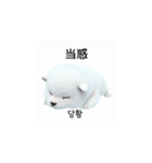 韓国語会話 サモエド犬KRJP nLz（個別スタンプ：12）