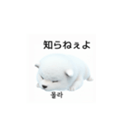 韓国語会話 サモエド犬KRJP nLz（個別スタンプ：16）