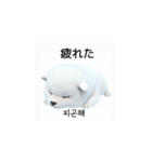 韓国語会話 サモエド犬KRJP nLz（個別スタンプ：17）