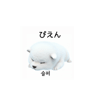韓国語会話 サモエド犬KRJP nLz（個別スタンプ：18）