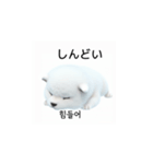 韓国語会話 サモエド犬KRJP nLz（個別スタンプ：19）