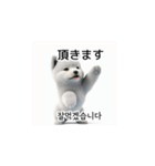 韓国語会話 サモエド犬KRJP nLz（個別スタンプ：22）