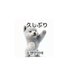 韓国語会話 サモエド犬KRJP nLz（個別スタンプ：33）