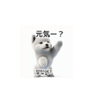 韓国語会話 サモエド犬KRJP nLz（個別スタンプ：36）