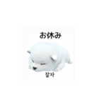 韓国語会話 サモエド犬KRJP nLz（個別スタンプ：39）
