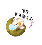 ふわふわフクロウの関西弁☆（個別スタンプ：5）