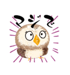 ふわふわフクロウの関西弁☆（個別スタンプ：16）