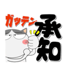 ハチワレ猫★インパクトのあるデカ文字（個別スタンプ：10）