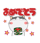 ハチワレ猫★インパクトのあるデカ文字（個別スタンプ：11）
