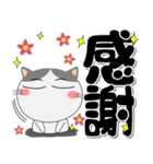 ハチワレ猫★インパクトのあるデカ文字（個別スタンプ：13）