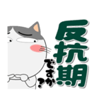ハチワレ猫★インパクトのあるデカ文字（個別スタンプ：19）