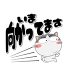 ハチワレ猫★インパクトのあるデカ文字（個別スタンプ：22）
