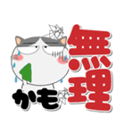 ハチワレ猫★インパクトのあるデカ文字（個別スタンプ：24）