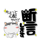 ハチワレ猫★インパクトのあるデカ文字（個別スタンプ：31）