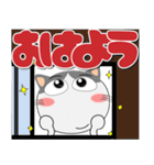 ハチワレ猫★インパクトのあるデカ文字（個別スタンプ：34）