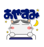 ハチワレ猫★インパクトのあるデカ文字（個別スタンプ：35）
