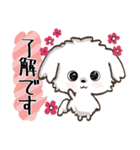 愛犬♡マルチーズのスタンプ【年中】（個別スタンプ：2）