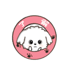 愛犬♡マルチーズのスタンプ【年中】（個別スタンプ：3）
