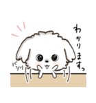 愛犬♡マルチーズのスタンプ【年中】（個別スタンプ：5）
