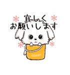 愛犬♡マルチーズのスタンプ【年中】（個別スタンプ：8）