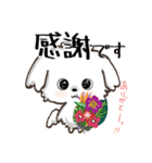 愛犬♡マルチーズのスタンプ【年中】（個別スタンプ：12）