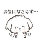 愛犬♡マルチーズのスタンプ【年中】（個別スタンプ：14）