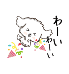 愛犬♡マルチーズのスタンプ【年中】（個別スタンプ：16）