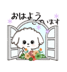 愛犬♡マルチーズのスタンプ【年中】（個別スタンプ：17）