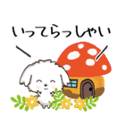 愛犬♡マルチーズのスタンプ【年中】（個別スタンプ：19）