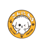 愛犬♡マルチーズのスタンプ【年中】（個別スタンプ：20）