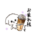 愛犬♡マルチーズのスタンプ【年中】（個別スタンプ：25）
