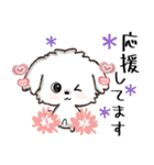 愛犬♡マルチーズのスタンプ【年中】（個別スタンプ：26）
