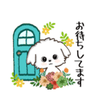 愛犬♡マルチーズのスタンプ【年中】（個別スタンプ：34）