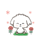 愛犬♡マルチーズのスタンプ【年中】（個別スタンプ：35）