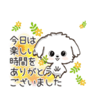 愛犬♡マルチーズのスタンプ【年中】（個別スタンプ：36）