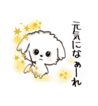 愛犬♡マルチーズのスタンプ【年中】（個別スタンプ：37）
