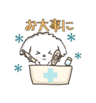 愛犬♡マルチーズのスタンプ【年中】（個別スタンプ：38）