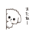 愛犬♡マルチーズのスタンプ【年中】（個別スタンプ：40）