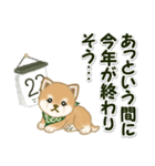 よちよち豆柴兄弟 年末年始＆招福の言葉（個別スタンプ：5）