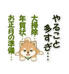 よちよち豆柴兄弟 年末年始＆招福の言葉（個別スタンプ：6）