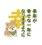 よちよち豆柴兄弟 年末年始＆招福の言葉（個別スタンプ：12）