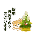 よちよち豆柴兄弟 年末年始＆招福の言葉（個別スタンプ：16）
