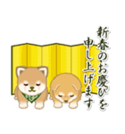 よちよち豆柴兄弟 年末年始＆招福の言葉（個別スタンプ：17）