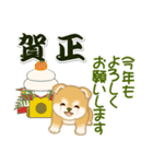 よちよち豆柴兄弟 年末年始＆招福の言葉（個別スタンプ：19）